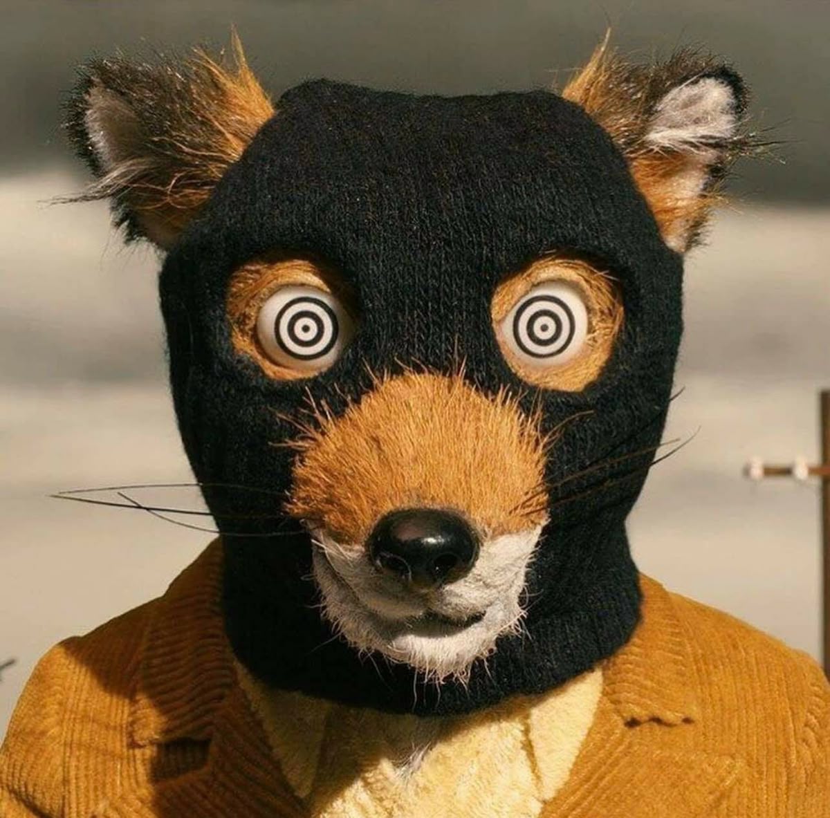 mr fox